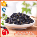 Trockene schwarze barbary wolfberry, natürliche wolfberry organisch.